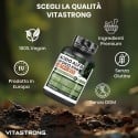 ACIDO ALFA LIPOICO 650