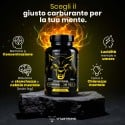 BRAINBOOSTER