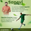 DIGESTION ENZYMES
