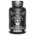 ESSENTIAL AMINO
