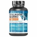 COLLAGENE MARINO