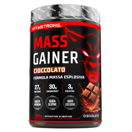 MASS GAINER