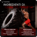 TESTOBOOSTER