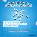 CREATINA CREASTRONG®