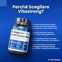 COLLAGENE