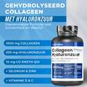 COLLAGENE