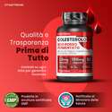 COLESTEROLO COMPLEX