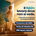 NAD+