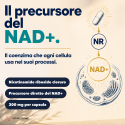 NAD+