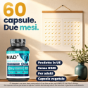 NAD+
