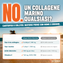 COLLAGENE MARINO
