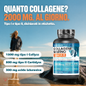 COLLAGENE MARINO
