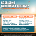 COLLAGENE MARINO