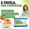 DIGESTION ENZYMES