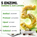 DIGESTION ENZYMES