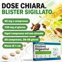 DIGESTION ENZYMES