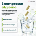 GDA COMPLEX