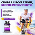 TRANS-RESVERATROL & NAD+