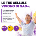 TRANS-RESVERATROL & NAD+