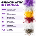 TRANS-RESVERATROL & NAD+