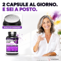 TRANS-RESVERATROL & NAD+